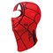 Маска (балаклава) Buff Polar Balaclava Spidermask Red - фото 28877