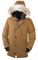 Мужская куртка Canada Goose Chateau, Wasaga sand - фото 5645