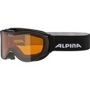 Маска Alpina Challenge 2.0 Black Transparent DH S2 (M40) - фото 15499