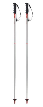 Горнолыжные палки ELAN Rental Rod 13136
