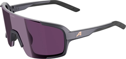 Очки Alpina Lumin Gun-Metall Matt   Cat.1 13242