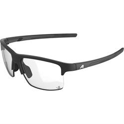 Очки Alpina Eagle Black Matt/Varioflex Cat.1-3 13243