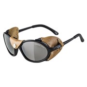 Очки Alpina Sibiria Black-Brown Gloss/Brown Mirror Cat.4