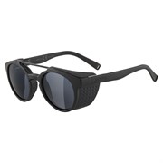 Очки Alpina Glace All Black Matt Cat.3 13240