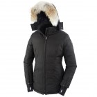 Пуховик canada goose скидки