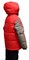 Poivre Blanc Куртка для мальчика 238012(ROUGE CARBON) 8982 - фото 19983 Poivre Blanc Куртка для мальчика 238012(ROUGE CARBON) 8982 - фото 19983