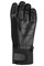 Перчатки  горнолыжные AUCLAIR TRAIL RIDGE GLOVES - ADULT 9236
