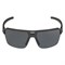 Очки Alpina Swift HR Black Matt/Smoke Black Cat.3 - фото 41198