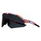 Очки солнцезащитные ALPINA Sonic HR Max Nerurkar Special/Black Cat.3 12728 - фото 42229