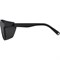 Очки Alpina Glace All Black Matt Cat.3 13240